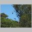 za0129.html